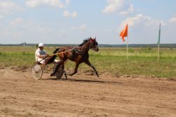   (IMG_5005.JPG, 0 Bytes, 968 )