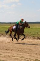   (IMG_5344.JPG, 179.52 Kb, 658 )