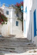   (IMG_3308.jpg, 0 Bytes, 794 )