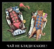   (x_9933475d.jpg, 92.53 Kb, 653 )