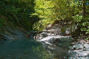   (DSC_0653_10737.jpg, 296.43 Kb, 502 )