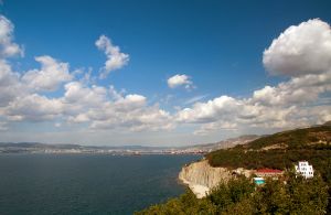   (DSC_0568_993.jpg, 278.14 Kb, 508 )