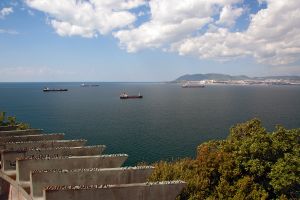   (DSC_0573_998.jpg, 291.34 Kb, 513 )