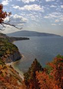   (DSC_0564_989.jpg, 273.92 Kb, 511 )