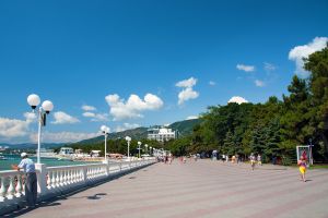   (DSC_0496_926.jpg, 205.56 Kb, 634 )