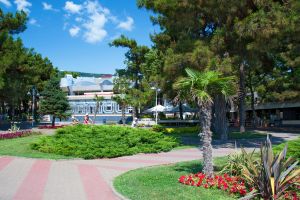   (DSC_0504_934.jpg, 287.96 Kb, 492 )