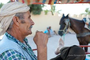   (IMG_4223-copy.jpg, 209.63 Kb, 483 )