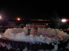   (IMG00078-20110820-2237.jpg, 42.43 Kb, 829 )
