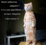   (prikolnye-koty-i-sobaki-1.jpg, 181.85 Kb, 521 )