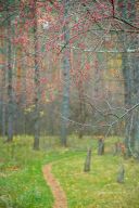   (IMG_5165.jpg, 0 Bytes, 773 )