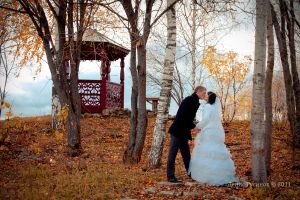   (IMG_3553-copy.jpg, 445.23 Kb, 500 )