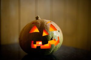   (IMG_5544d.jpg, 145.46 Kb, 598 )