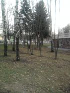   (0170.jpg, 0 Bytes, 702 )