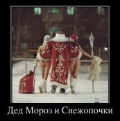   (033.jpg, 84.5 Kb, 737 )