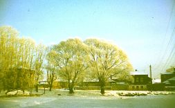   (002.jpg, 0 Bytes, 829 )