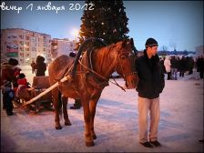   (DSCF1656.JPG, 200.45 Kb, 623 )