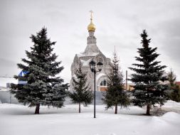   (DSC01431.JPG, 188.97 Kb, 850 )