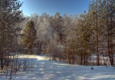   (DSC_0057_00.jpg, 255.51 Kb, 513 )