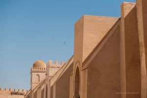   (IMG_4051-copy.jpg, 140.22 Kb, 919 )