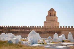   (IMG_4062-copy.jpg, 180.44 Kb, 911 )