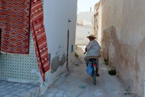   (IMG_4081-copy.jpg, 297.61 Kb, 722 )