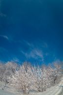   (IMG_1.jpg, 415.29 Kb, 1019 )