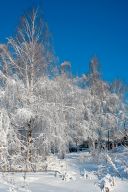   (IMG_14.jpg, 713.25 Kb, 518 )