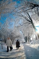   (IMG_18.jpg, 882.82 Kb, 495 )