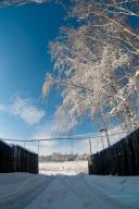   (IMG_10.jpg, 629.6 Kb, 505 )
