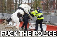   (fuck_the_police.jpg, 231.82 Kb, 516 )