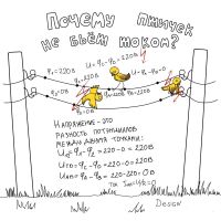   (009abpy1.jpg, 120.79 Kb, 1728 )