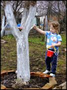   (DSCF3833.JPG, 331.34 Kb, 220 )