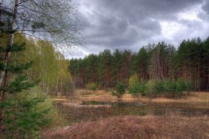   (DSC_1200.jpg, 648.74 Kb, 506 )