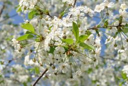   (_DSC0123.jpg, 172.61 Kb, 715 )