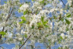   (_DSC0124.jpg, 180.02 Kb, 696 )