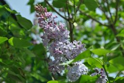   (_DSC0255.jpg, 124.68 Kb, 845 )