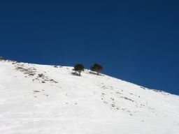   (IMG_0281 - .JPG, 405.06 Kb, 1253 )