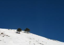   (file-2.jpg, 271.79 Kb, 1176 )