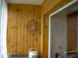   (DSCN4339.JPG, 511.08 Kb, 529 )