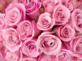   (117836-800x600.jpg, 218.97 Kb, 412 )