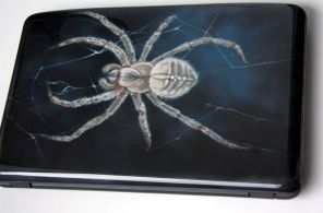   (Shek-spider-1.jpg, 40.56 Kb, 376 )