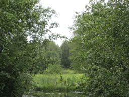   (prisovke.jpg, 1.13 Mb, 469 )