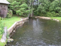   (IMG_3800.jpg, 1.25 Mb, 497 )