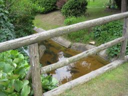   (IMG_3833.jpg, 946.84 Kb, 489 )