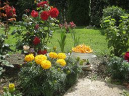   (IMG_4030e.jpg, 1.36 Mb, 272 )