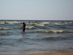   (IMG_4082e.jpg, 1.9 Mb, 716 )