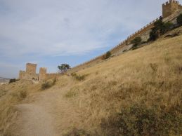   (DSC00335.JPG, 1 Mb, 725 )