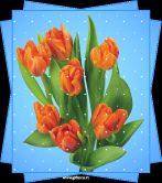   (27001.gif, 229.79 Kb, 238 )