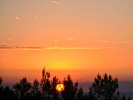   (BDV_0764.JPG, 0 Bytes, 895 )