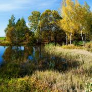   (DSC_0012_936aa.jpg, 484.08 Kb, 410 )